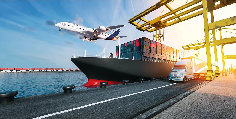 The whimsically named Egg Canvas brainch